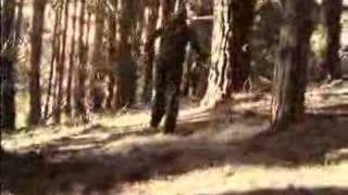 Marilyn Manson - Fight, Violence Film