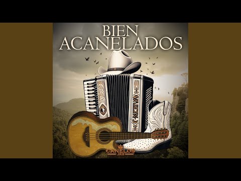 Entre Los Cerros Y Pinos