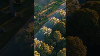 Cinematic Groundskeeper Drone Footage #landscaper #arborist #drone