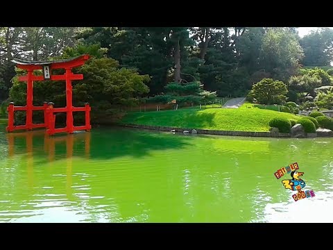 Father Goose Music “In The Mirror” featuring  Patricia Verdolino (Official Video)