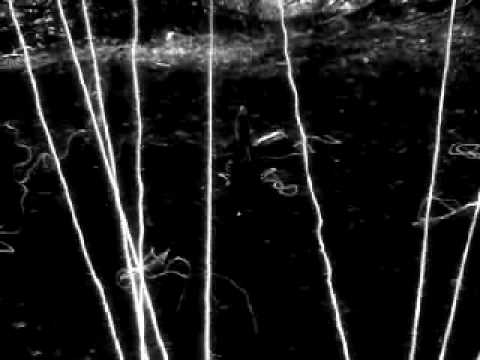 Official Daníel Ágúst "Someone Who Swallowed A Star"