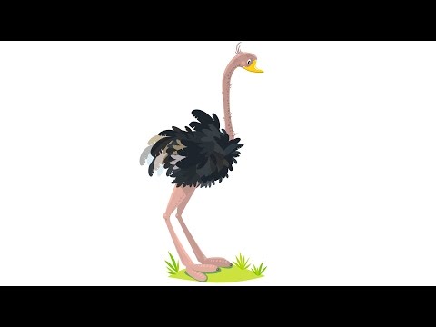 Der Strauß - Tierlied zum Mitsingen für Kinder (mit Song Text)