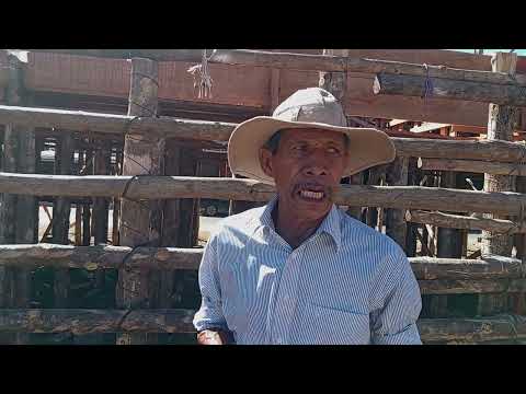CASIMIRO CONTRERAS FAMOSO NARRADOR DE TOROS DE Santa Cruz Guanacaste Nicoya Informa TV 