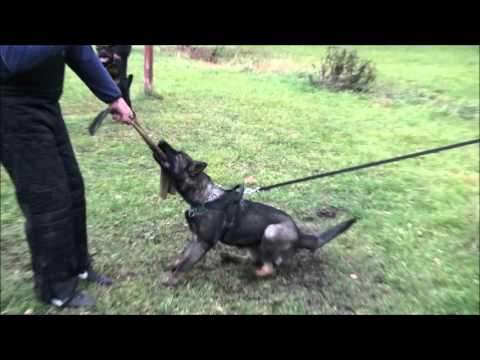 Hesi Zde-Sko - 5 moonths