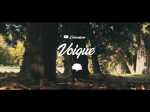 Coñaripes - Voique