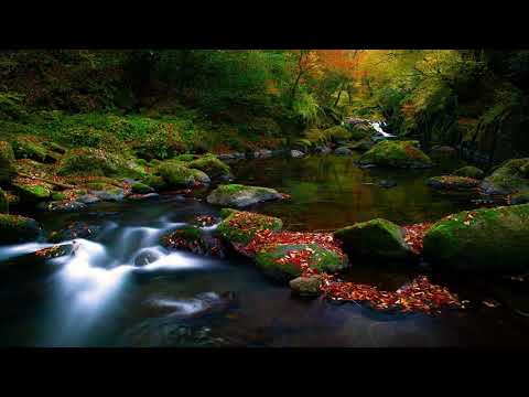 Sága krásy – Ket ja na Toriše noški umivala | Traditional Folk Song from Eastern Slovakia