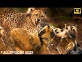 DEADLY RIVER Survival Battle Of Apex Predators ANIMAL DOCUMENTARY