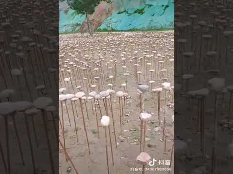 Steel Bars Topped with Stones Are "Planted" on Ground in China to Cheat the Satellite