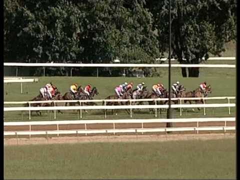 23/01/2015 - Race 7 - Actewagl Plate (C1) - Gambler's Blues