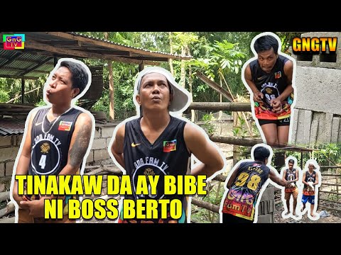 Tinakaw Da Ay Bibe Ni Boss Berto