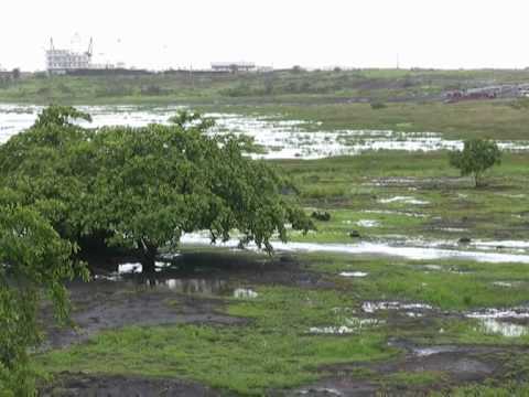 The secrets of Trinidad's black lake