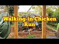 Walking In Chicken Run Assembling