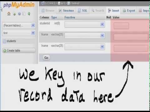 Python Xampp Database Table Record Creation