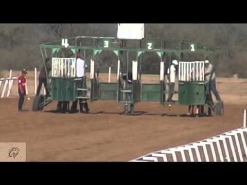 Diamante Rojo vs El Okey Dokey.