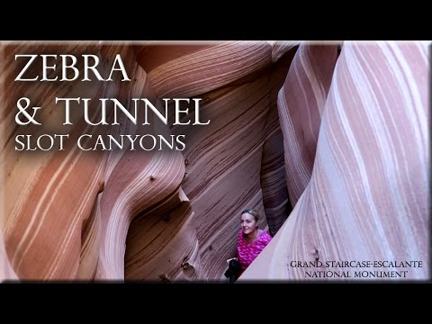 image-Are dogs allowed in Grand Staircase Escalante?