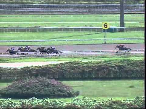 20101005 SG TRAILS PRACTICE 1000M (POLYTRACK) - ROCKET MAN (B Vorster)