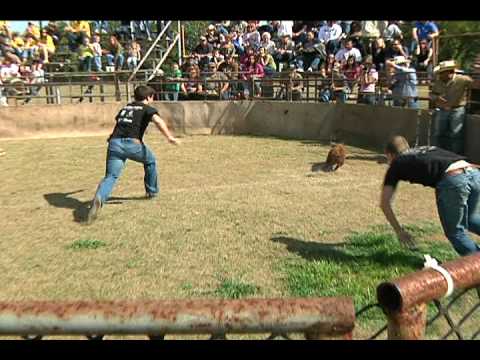 2010 Wild Hog Wrestling/Catching Championships - Ty W. and Brian S.