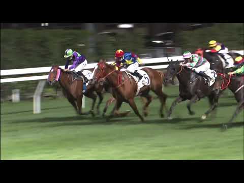 9/12/2020 (250) Speedy Optimist - Z Purton / Great Harvest- A Badel  (Dead heat!)