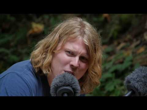 Ty Segall & Cory Hanson - Full Performance (Live on KEXP @Pickathon)