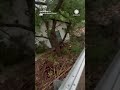 House Crashes into Bridge on Flooded Texas River