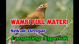 Download lagu Masteran burung hwamei wambi gacor terbaik || full materi mp3 Download lagu Masteran burung hwamei wambi gacor terbaik || full materi mp3