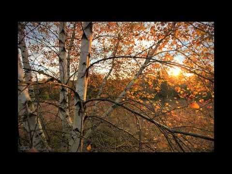 Wicked 7 vs. No One Home - Omnia, Ana Criado and Mike Sonar