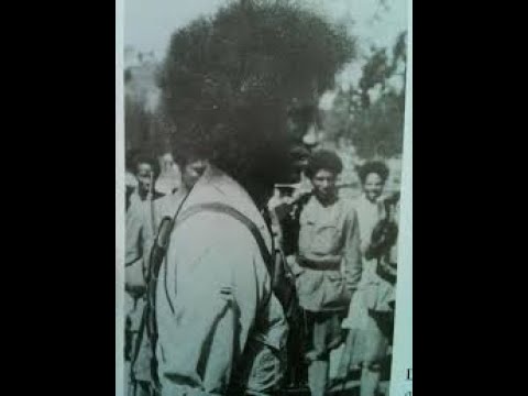 Banchiamlak Belayneh ,  Belay zeleke