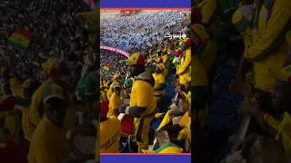 أجواء رائعة بعد الهدف الثالث للمنتخب السنيغالي thumbnail