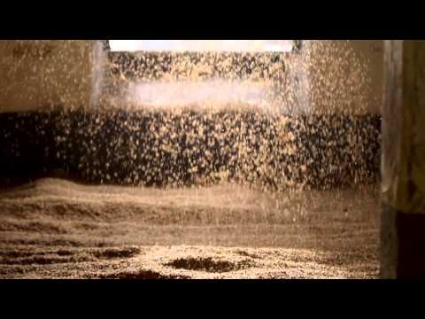 Laphroaig: Hollow By The Bay