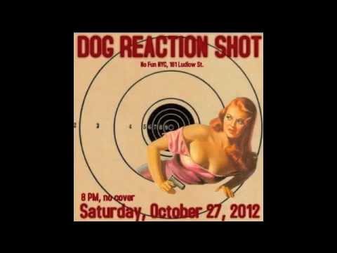 MEET DOG REACTION SHOT