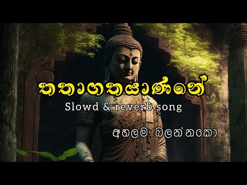 Thathagathayanane | තතාගතයාණනේ | slowd reverd song ♥️❤️‍🔥💫 #slowdandreverb #trending #fypシ #srilanka
