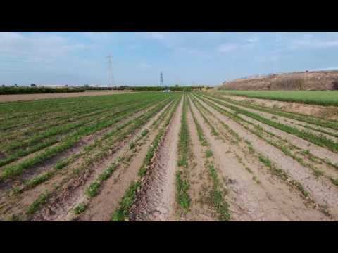 L´HORTA PER DALT HD