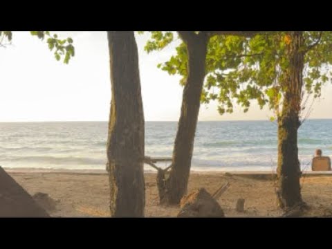 Altın gumuş borsa trend devam ?