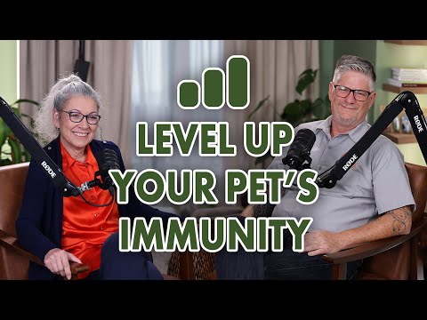 Building Your Pet's Immunity With Advanced Canine Nutrition Specialist Chef Scot Hill