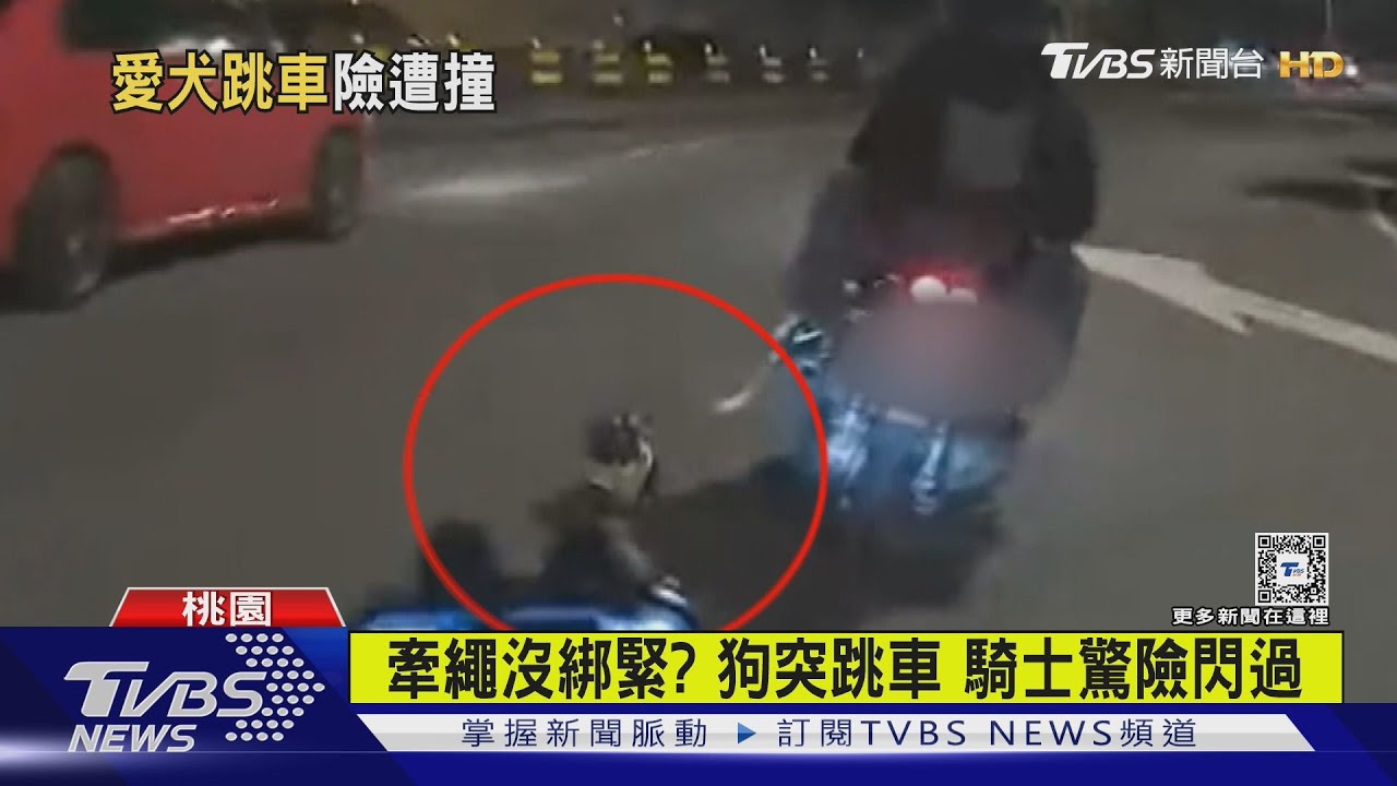 嚇!黑狗突跳下機車 後方騎士差點追撞