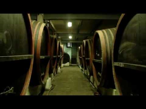 Csongrádi borvidék - Egy perc Magyarország