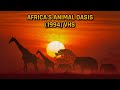 Opening To Africa S Animal Oasis 1994 VHS True HQ