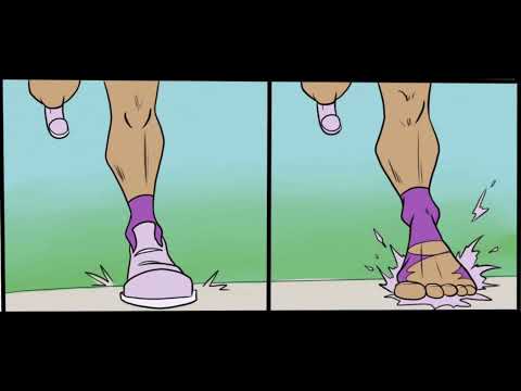 Dinosaur transformation