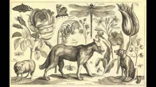 Neko Case  - That Teenage Feeling