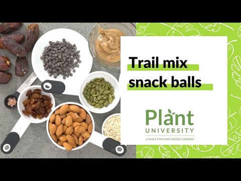 Trail Mix Snack Balls | Easy and delicious vegan recipe