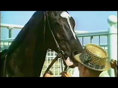 2017 Native Diver Stakes