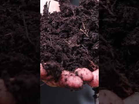 Jake and Nicolle found the BEST SOIL EVER. #BJN