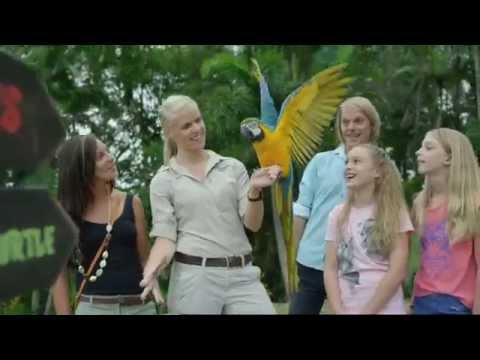 Join us at Australia Zoo to check out Bindi's Island!