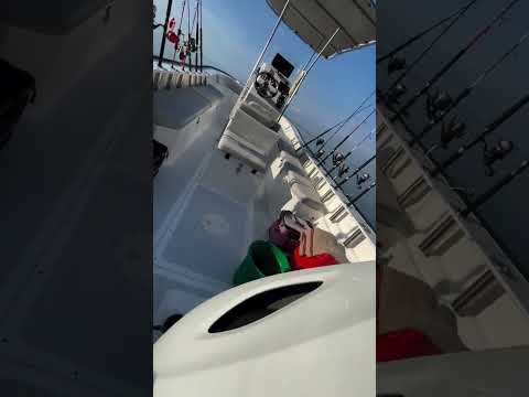 Séquence verticale Pêche Sportive Masoala