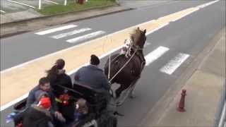 preview picture of video 'PLOUHINEC promenades en voiture hippomobile'