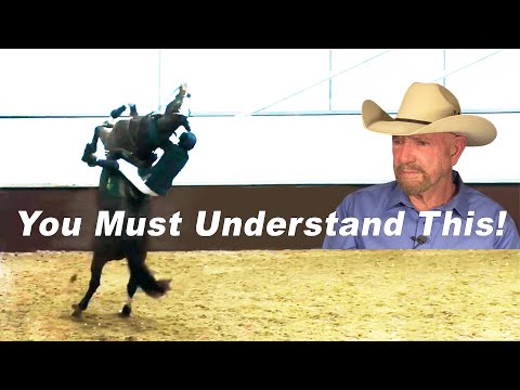 Why This Horse Is Rearing and How To Fix It - Horse Training Problems
