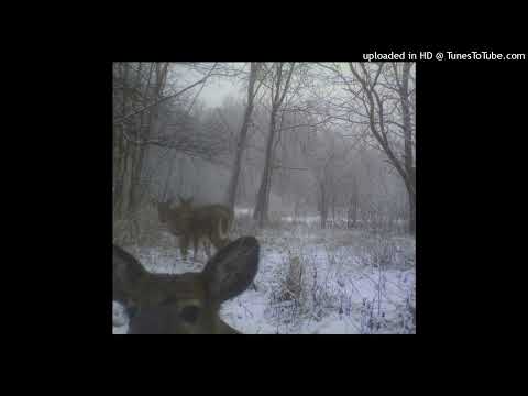 alternative rock x quannnic x jane remover type beat - Have no regrets: (31) (prod uguwap)