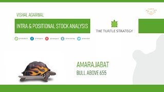 TURTLE POSITIONAL AMARAJABAT STOCK ANALYSIS