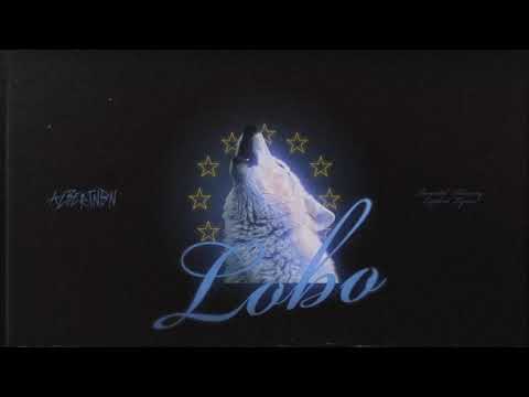 AlbertNbn - Lobo