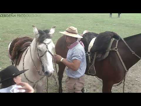 RUEDO "SUEÑO CUMPLIDO" ITUZAIGO 2024 Dia domingo criollas